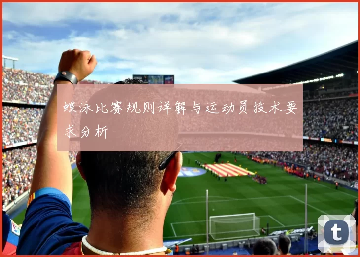 蝶泳比赛规则详解与运动员技术要求分析