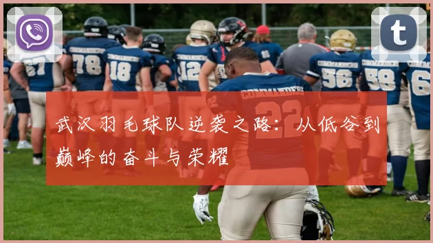 武汉羽毛球队逆袭之路：从低谷到巅峰的奋斗与荣耀