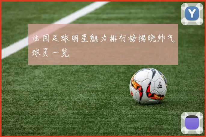 法国足球明星魅力排行榜揭晓帅气球员一览