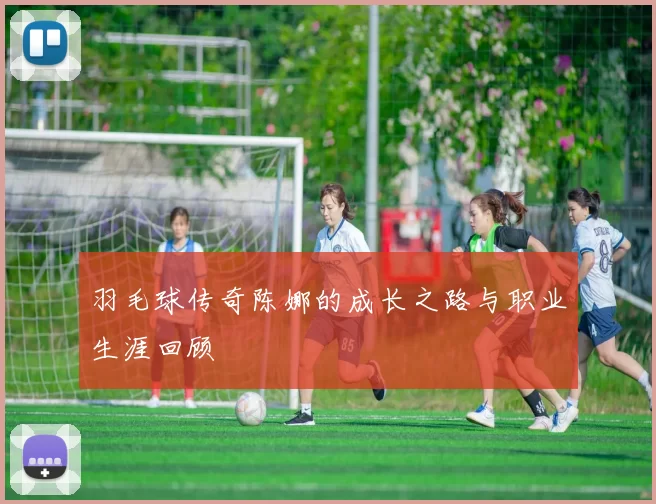 羽毛球传奇陈娜的成长之路与职业生涯回顾