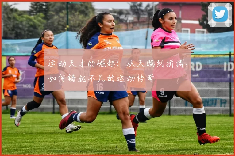 运动天才的崛起：从天赋到拼搏，如何铸就不凡的运动传奇
