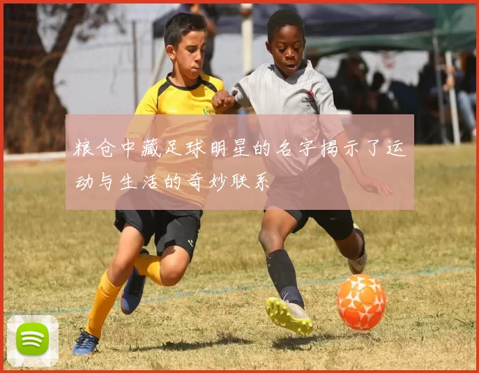 粮仓中藏足球明星的名字揭示了运动与生活的奇妙联系