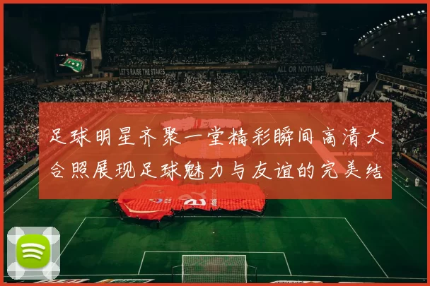 足球明星齐聚一堂精彩瞬间高清大合照展现足球魅力与友谊的完美结合