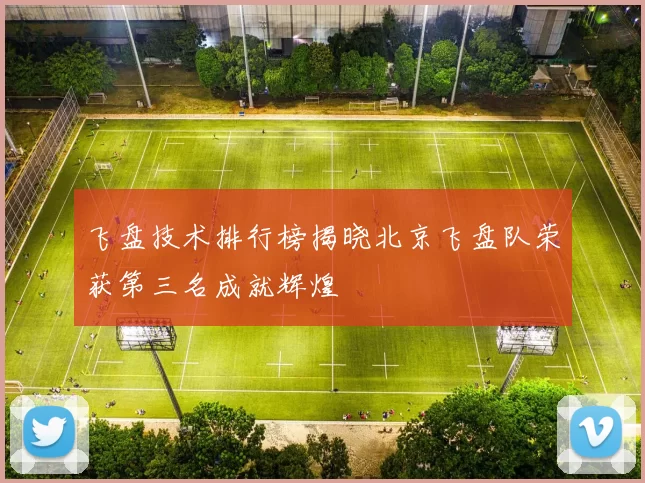 飞盘技术排行榜揭晓北京飞盘队荣获第三名成就辉煌