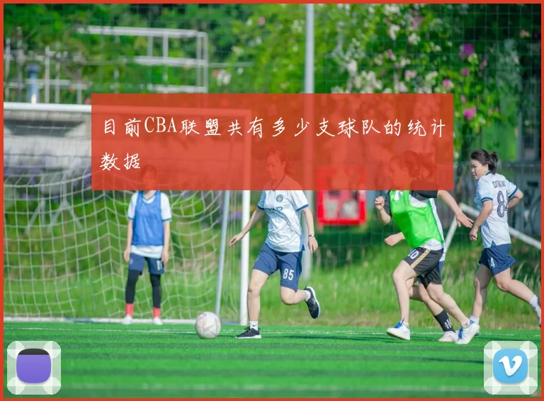 目前CBA联盟共有多少支球队的统计数据