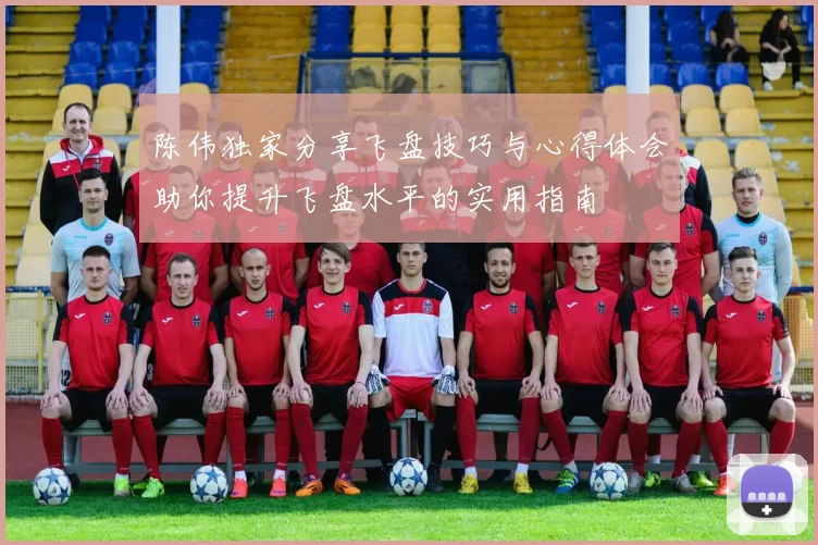 陈伟独家分享飞盘技巧与心得体会助你提升飞盘水平的实用指南