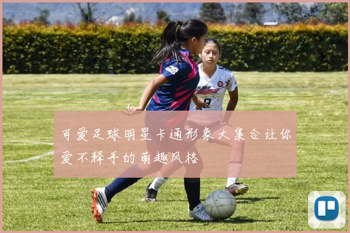 可爱足球明星卡通形象大集合让你爱不释手的萌趣风格