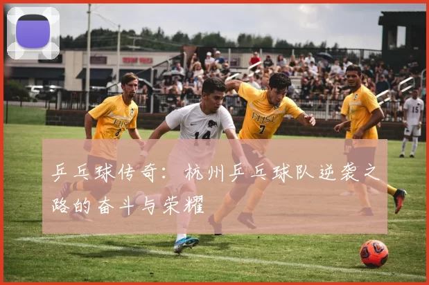 乒乓球传奇：杭州乒乓球队逆袭之路的奋斗与荣耀