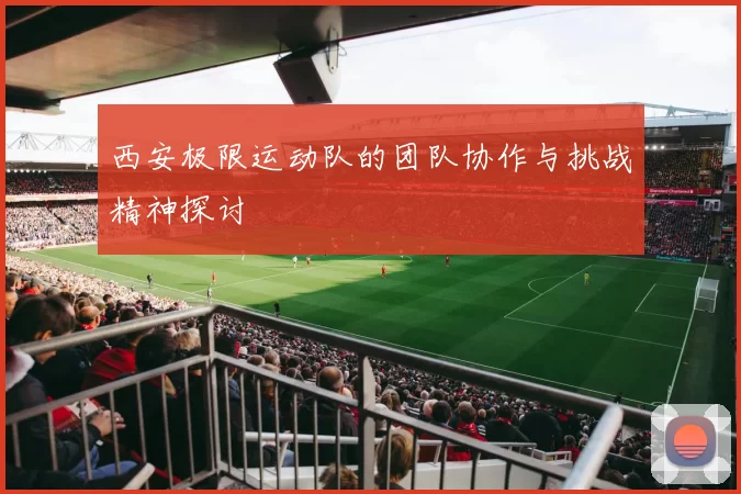 西安极限运动队的团队协作与挑战精神探讨