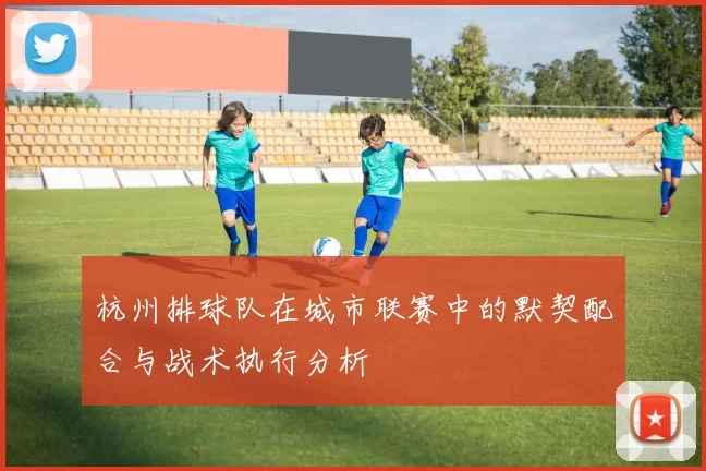 杭州排球队在城市联赛中的默契配合与战术执行分析
