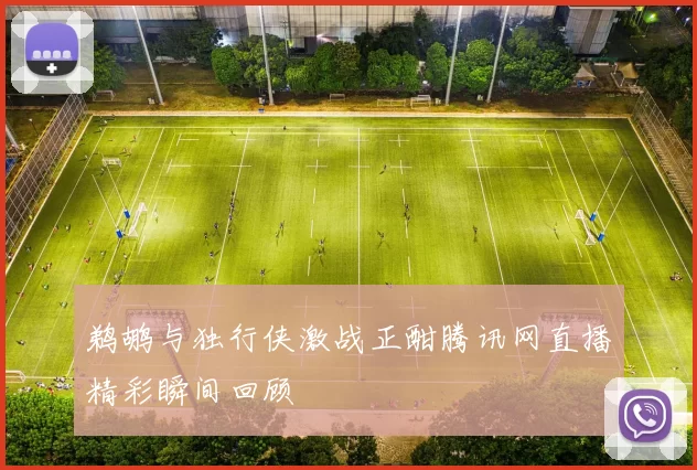 鹈鹕与独行侠激战正酣腾讯网直播精彩瞬间回顾