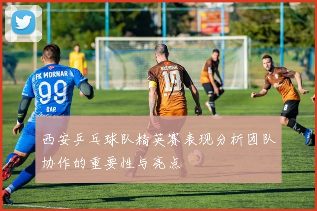 西安乒乓球队精英赛表现分析团队协作的重要性与亮点