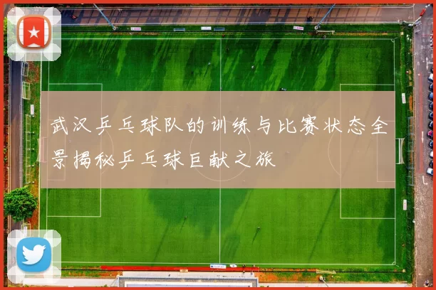 武汉乒乓球队的训练与比赛状态全景揭秘乒乓球巨献之旅