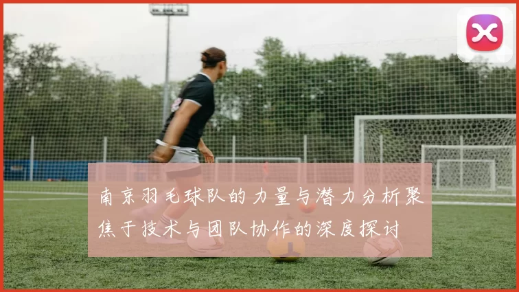 南京羽毛球队的力量与潜力分析聚焦于技术与团队协作的深度探讨