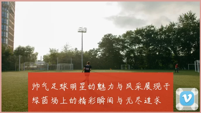 帅气足球明星的魅力与风采展现于绿茵场上的精彩瞬间与无尽追求