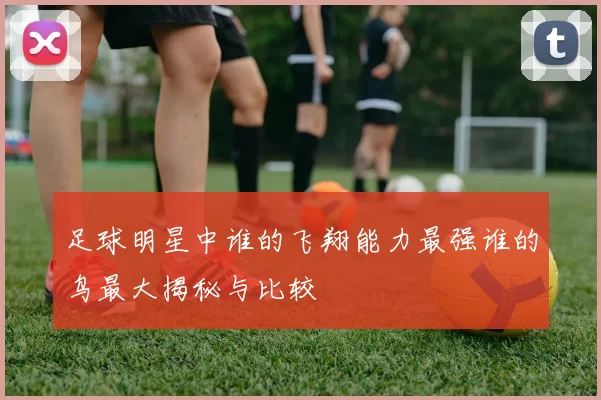足球明星中谁的飞翔能力最强谁的鸟最大揭秘与比较