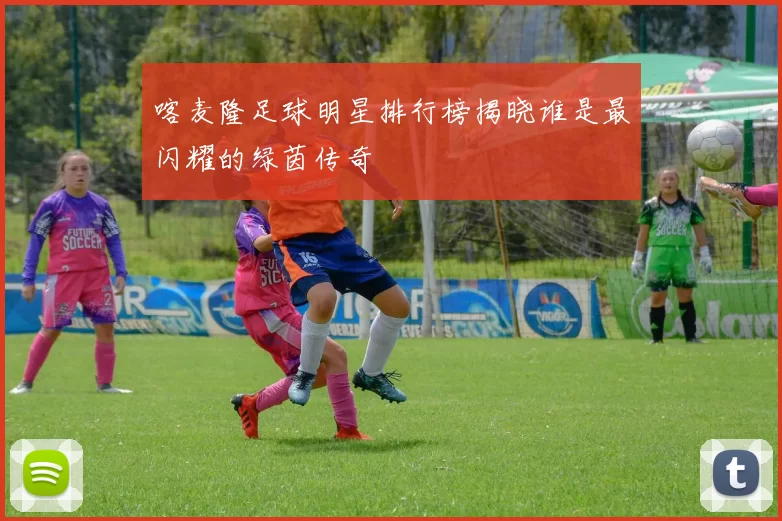喀麦隆足球明星排行榜揭晓谁是最闪耀的绿茵传奇