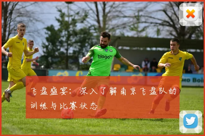 飞盘盛宴：深入了解南京飞盘队的训练与比赛状态