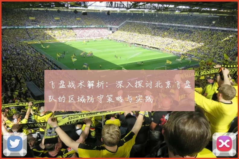 飞盘战术解析：深入探讨北京飞盘队的区域防守策略与实践