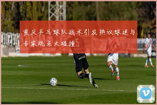 重庆乒乓球队战术引发热议球迷与专家观点大碰撞