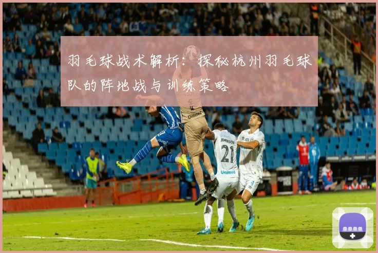 羽毛球战术解析：探秘杭州羽毛球队的阵地战与训练策略