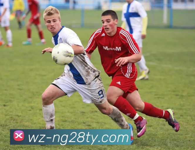 ng28.com品牌故事