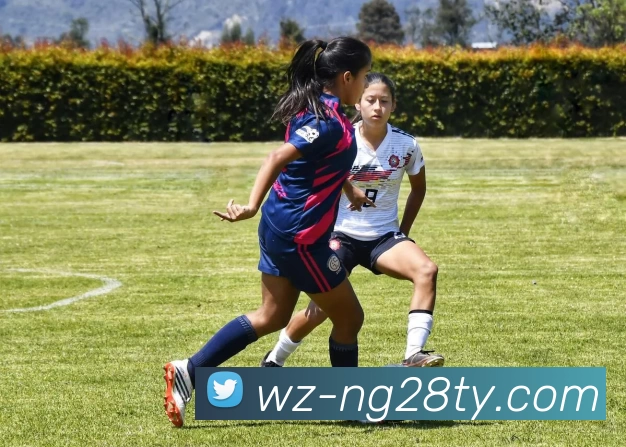 ng28.com服务体系